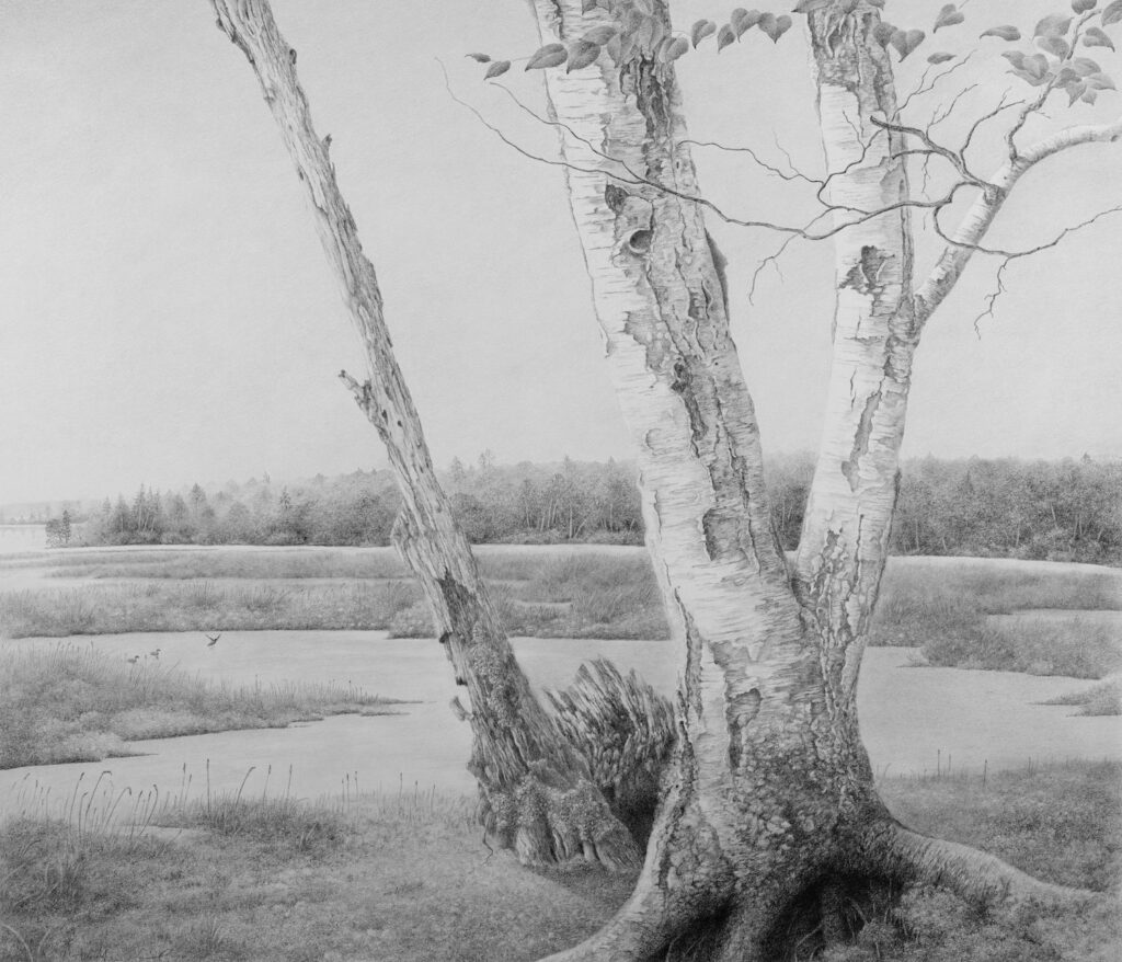Liddell Anne Marie The Marsh 1 2
