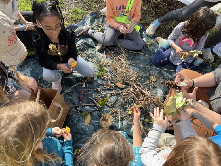 ክፍት ቦታ ትምህርት